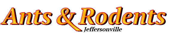 Jeffersonville Ant Exterminator & Rodent Control Company Logo